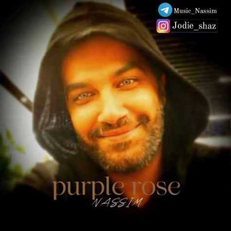Nassim Purple